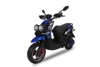 1000 W leistungsstarkes Elektro-Motorrad für Erwachsene, Fahrrad/Elektro-Roller/Elektro-Motorrad-Roller (BWS)