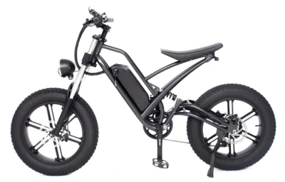 Mittelantrieb Bafang Motor 7