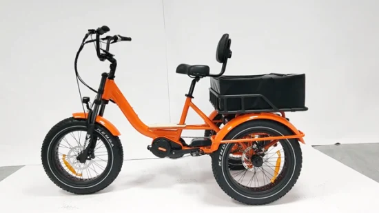 Fracht-Mittelmotor-Hochleistungs-E-Trike mit 3 Rädern, maßgeschneidertes Elektro-Dreirad für Erwachsene