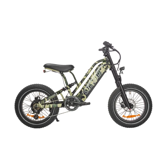 48V/20ah Aluminiumrahmen Ebike Road Hybrid City Elektro-Mountainbike